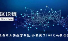 如何有效利用上海数字钱